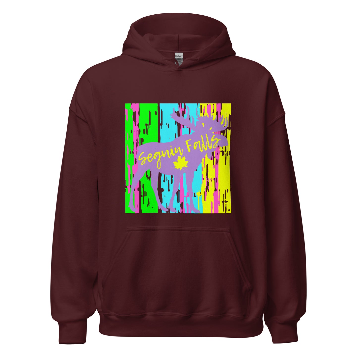 Seguin Falls Ontario - Unisex Hoodie