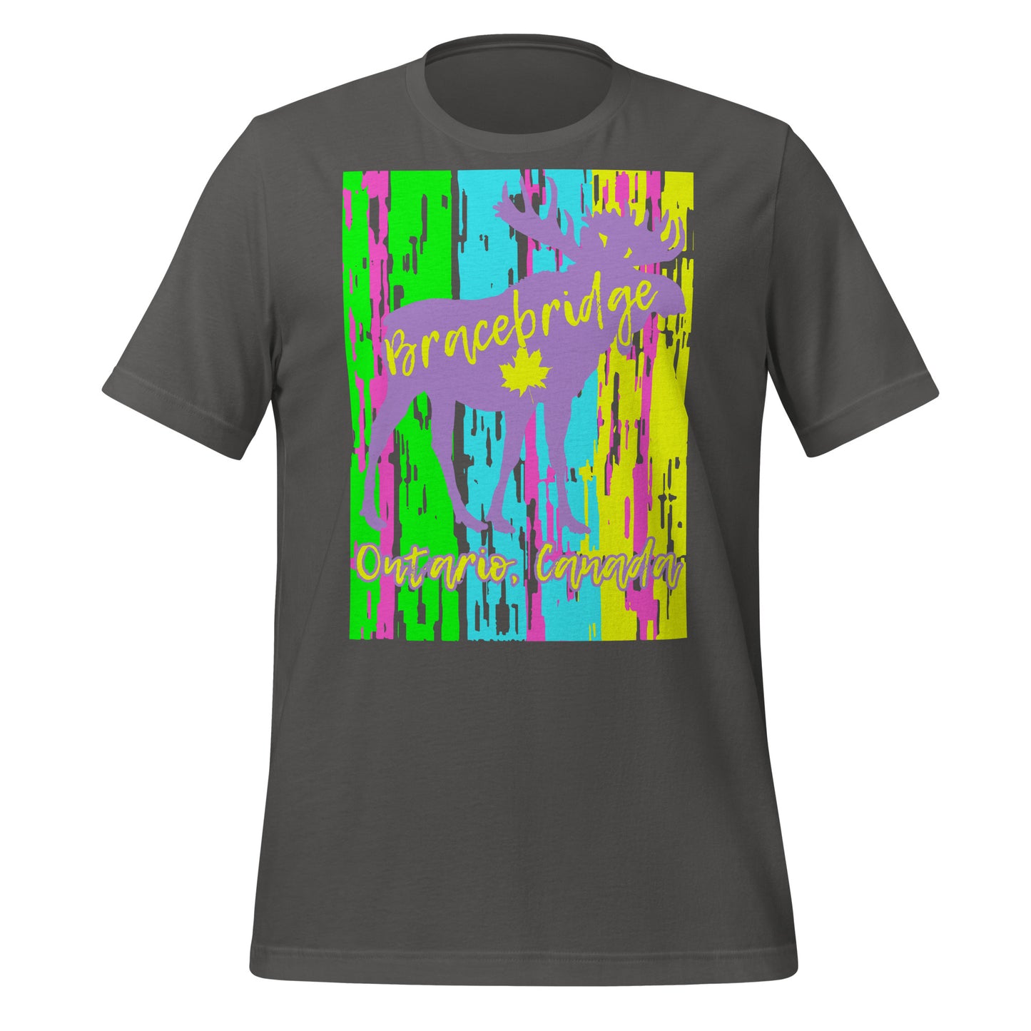 Bracebridge Ontario - Unisex t-shirt