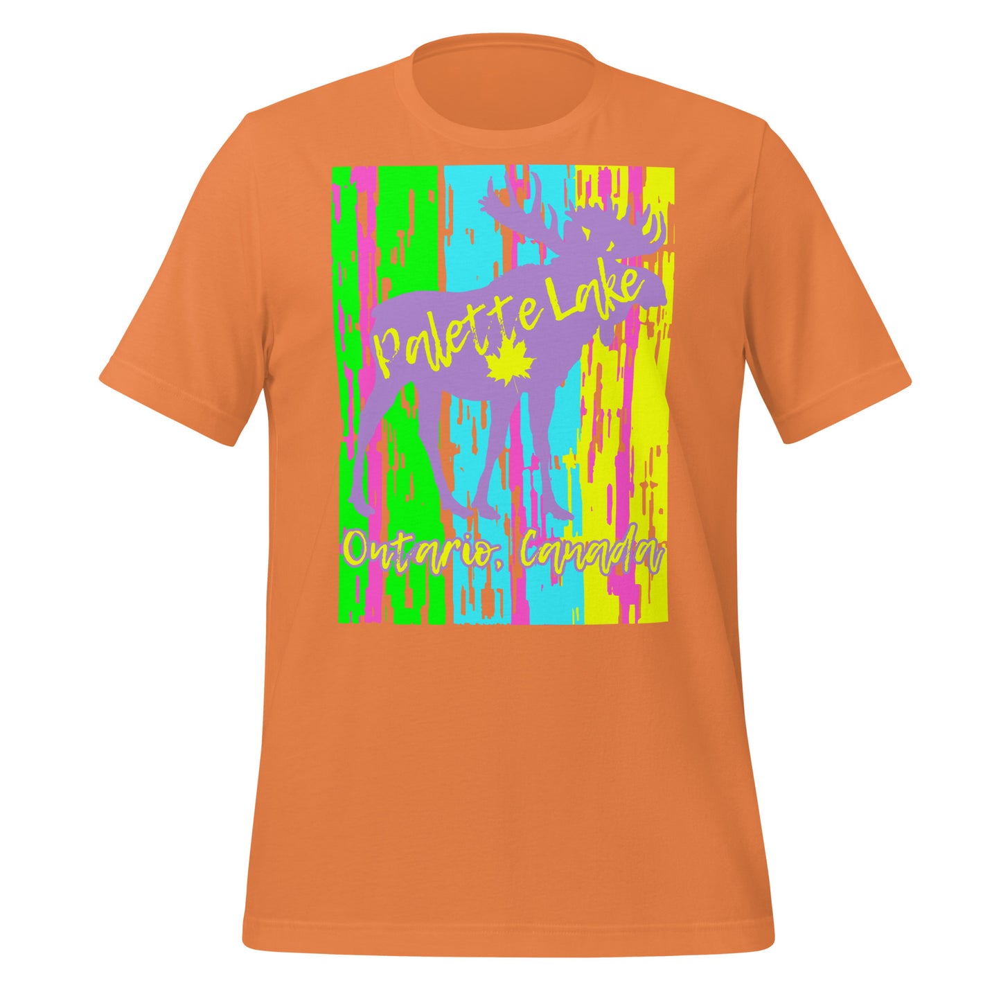 Palette Lake Ontario - Unisex t-shirt