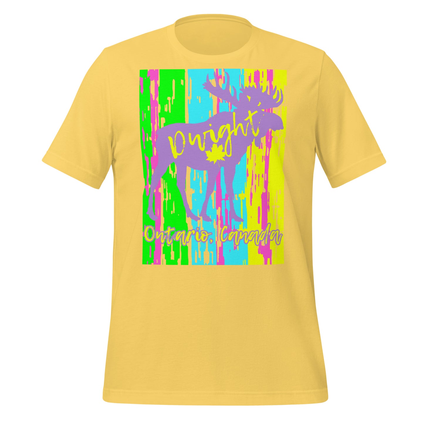 Dwight Ontario - Unisex t-shirt