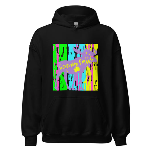 Seguin Falls Ontario - Unisex Hoodie