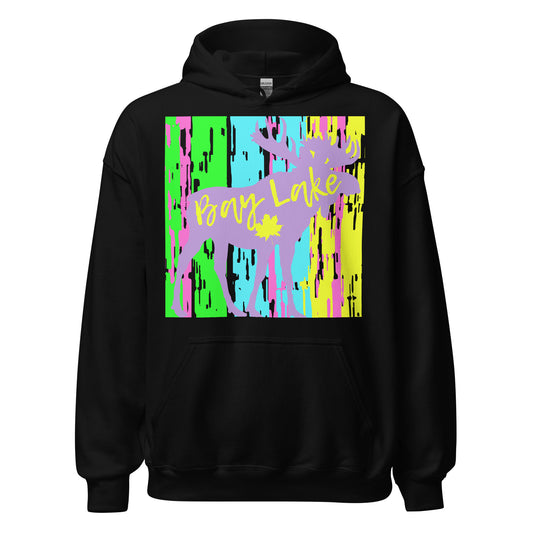 Bay Lake Ontario - Unisex Hoodie