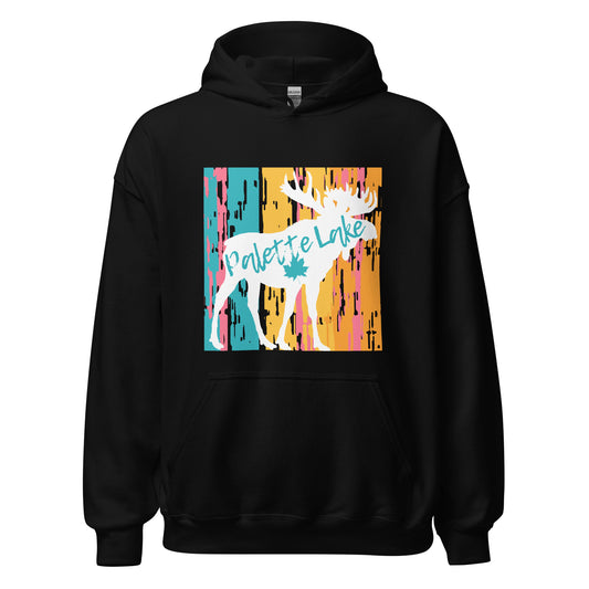 Palette Lake Ontario - Unisex Hoodie