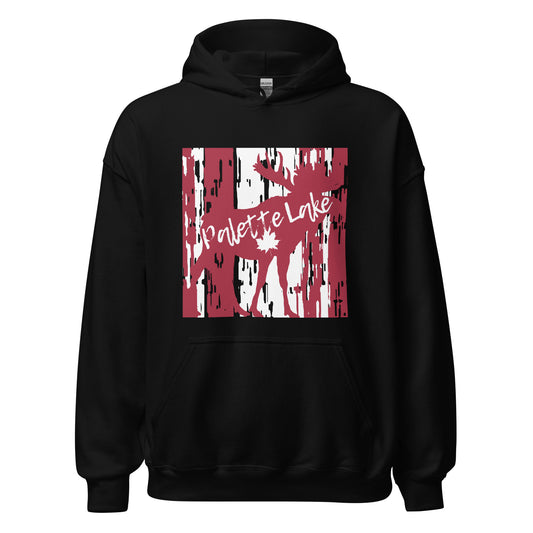 Palette Lake Ontario - Unisex Hoodie