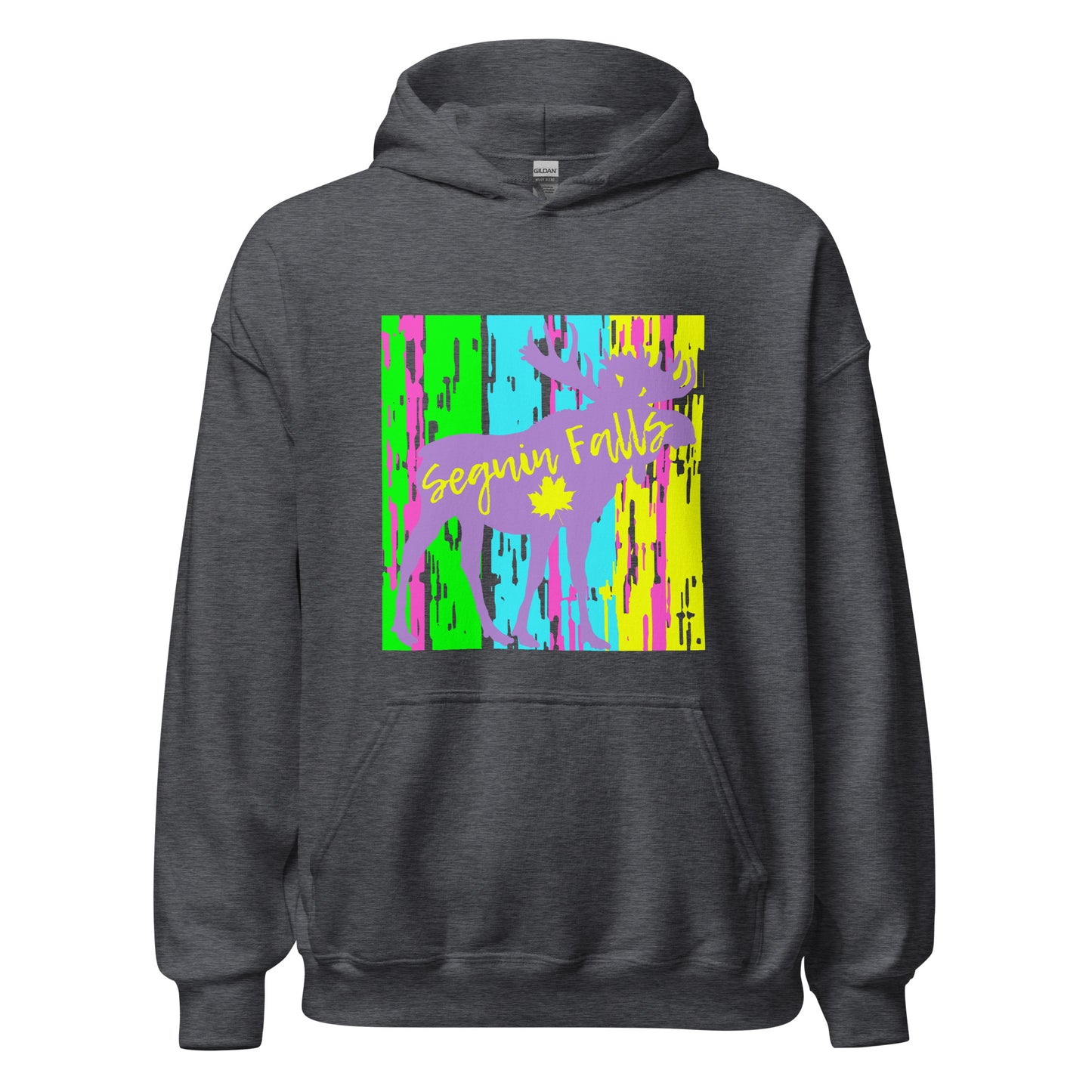 Seguin Falls Ontario - Unisex Hoodie