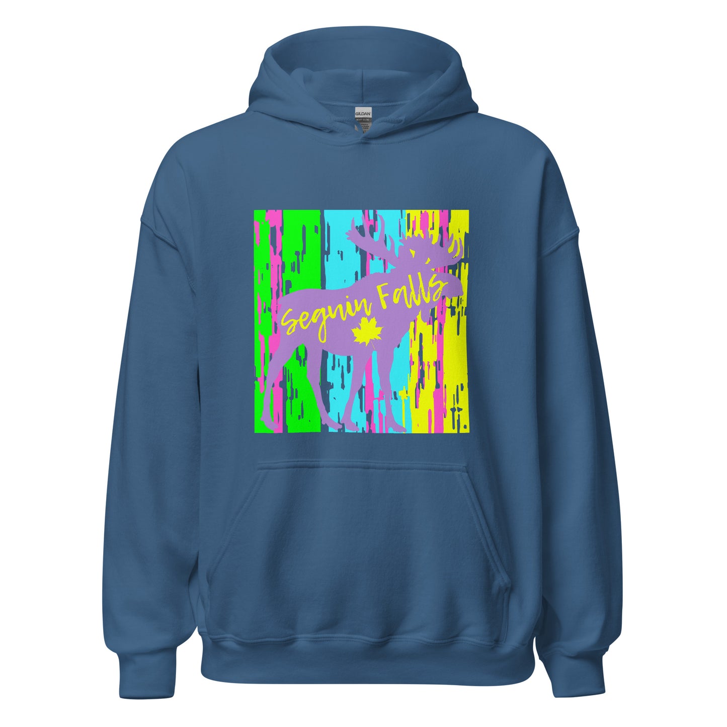Seguin Falls Ontario - Unisex Hoodie