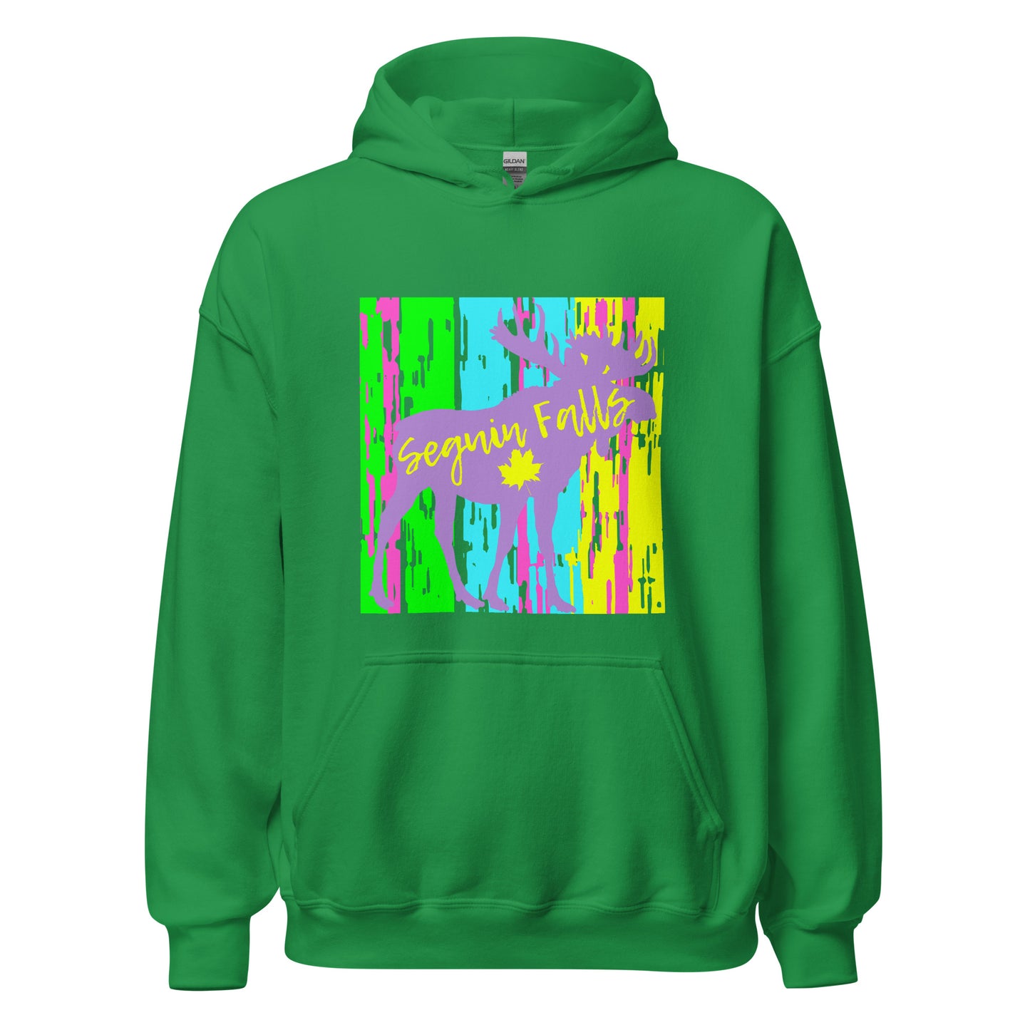 Seguin Falls Ontario - Unisex Hoodie