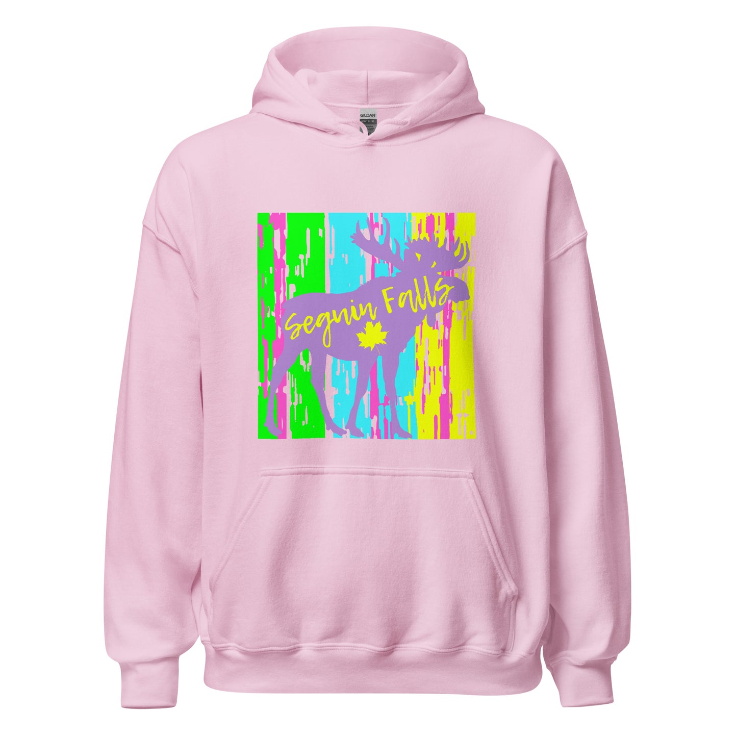Seguin Falls Ontario - Unisex Hoodie