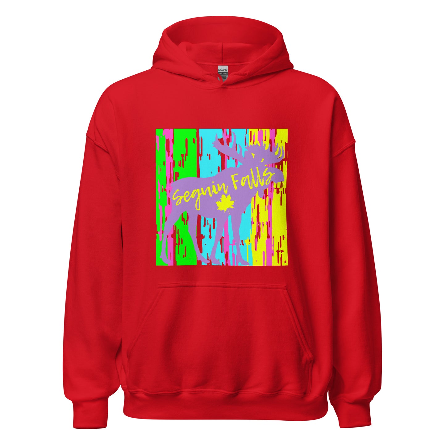 Seguin Falls Ontario - Unisex Hoodie
