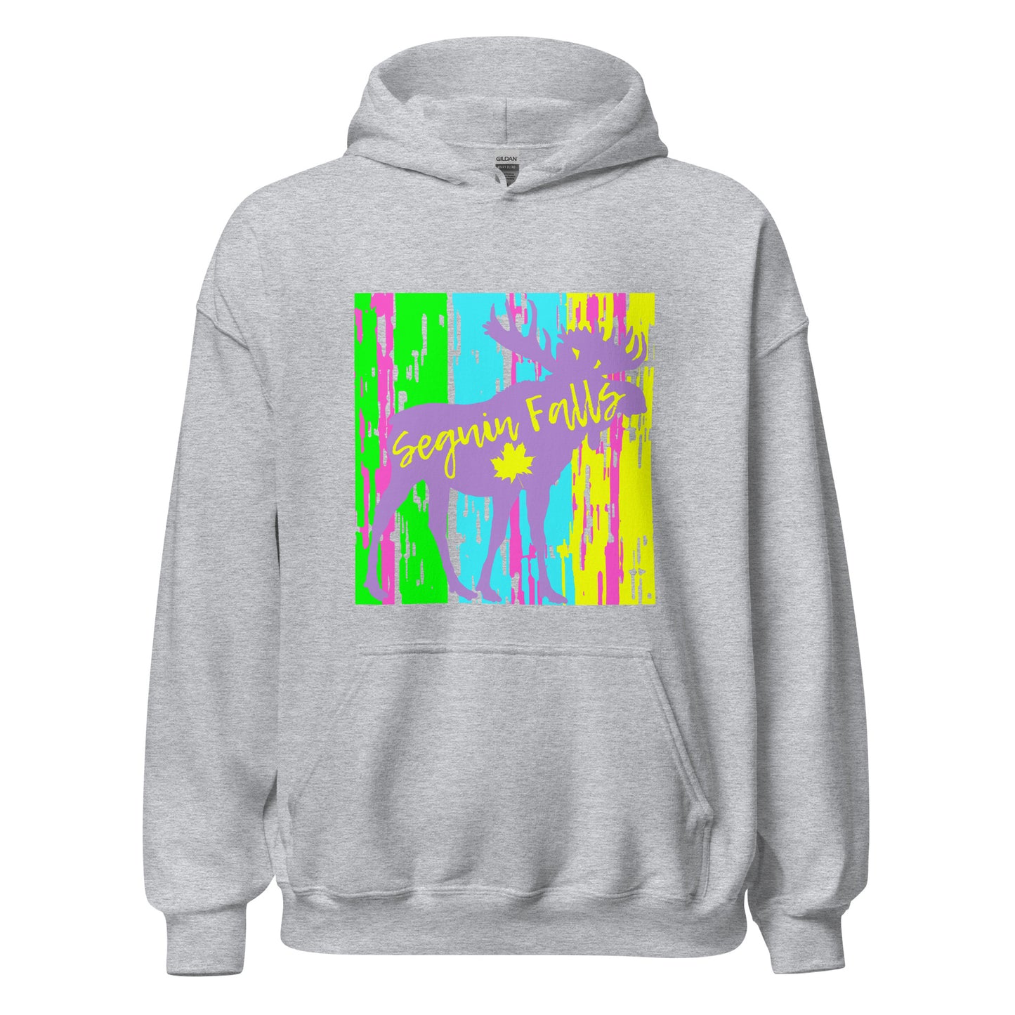 Seguin Falls Ontario - Unisex Hoodie