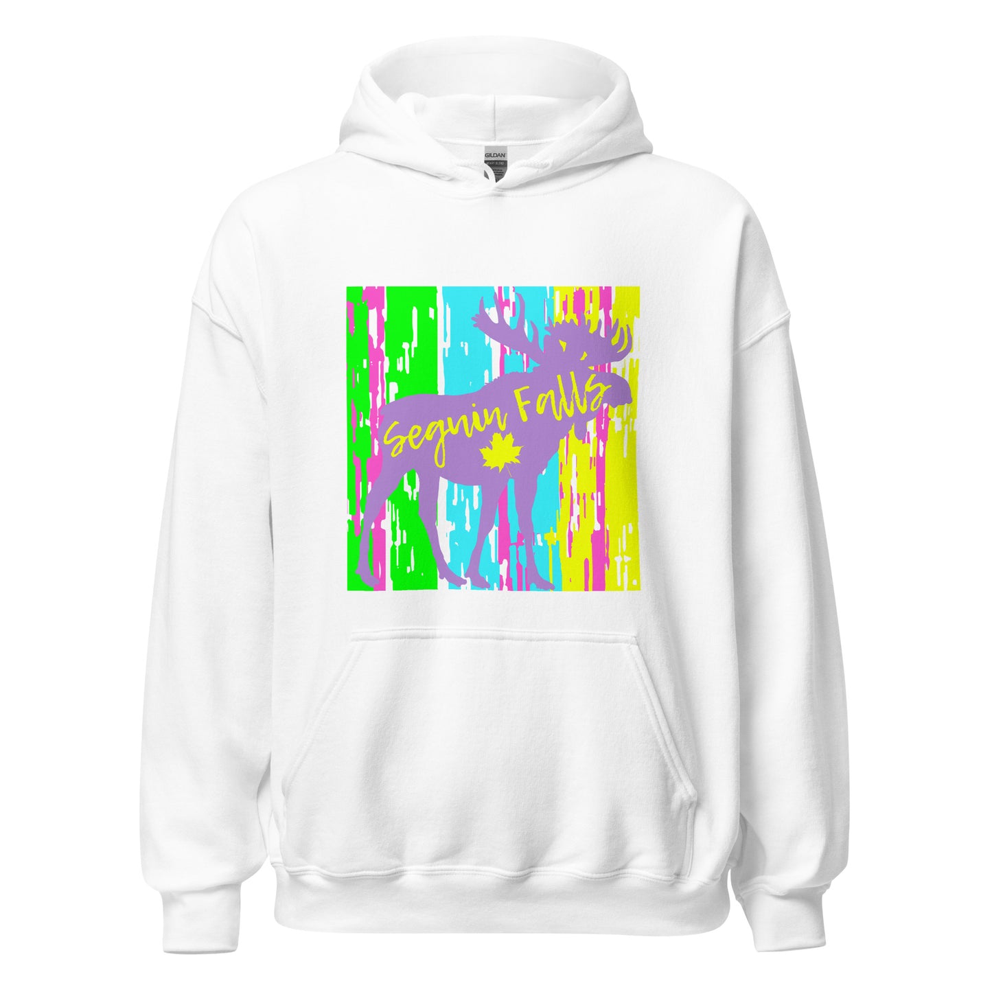 Seguin Falls Ontario - Unisex Hoodie
