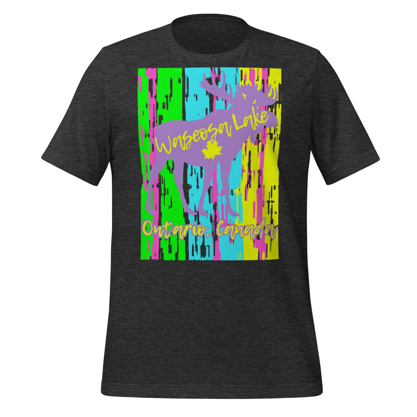 Waseosa Lake Ontario - Unisex t-shirt